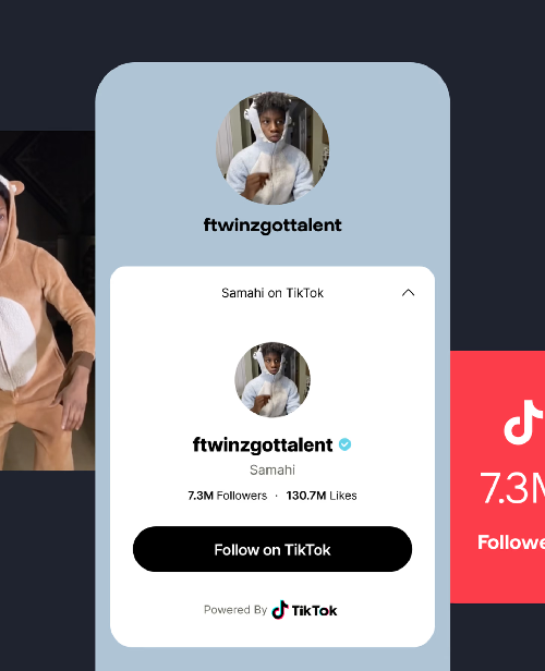 Árbol de enlaces de TikTok